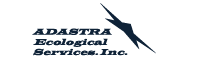 Adastra Logo
